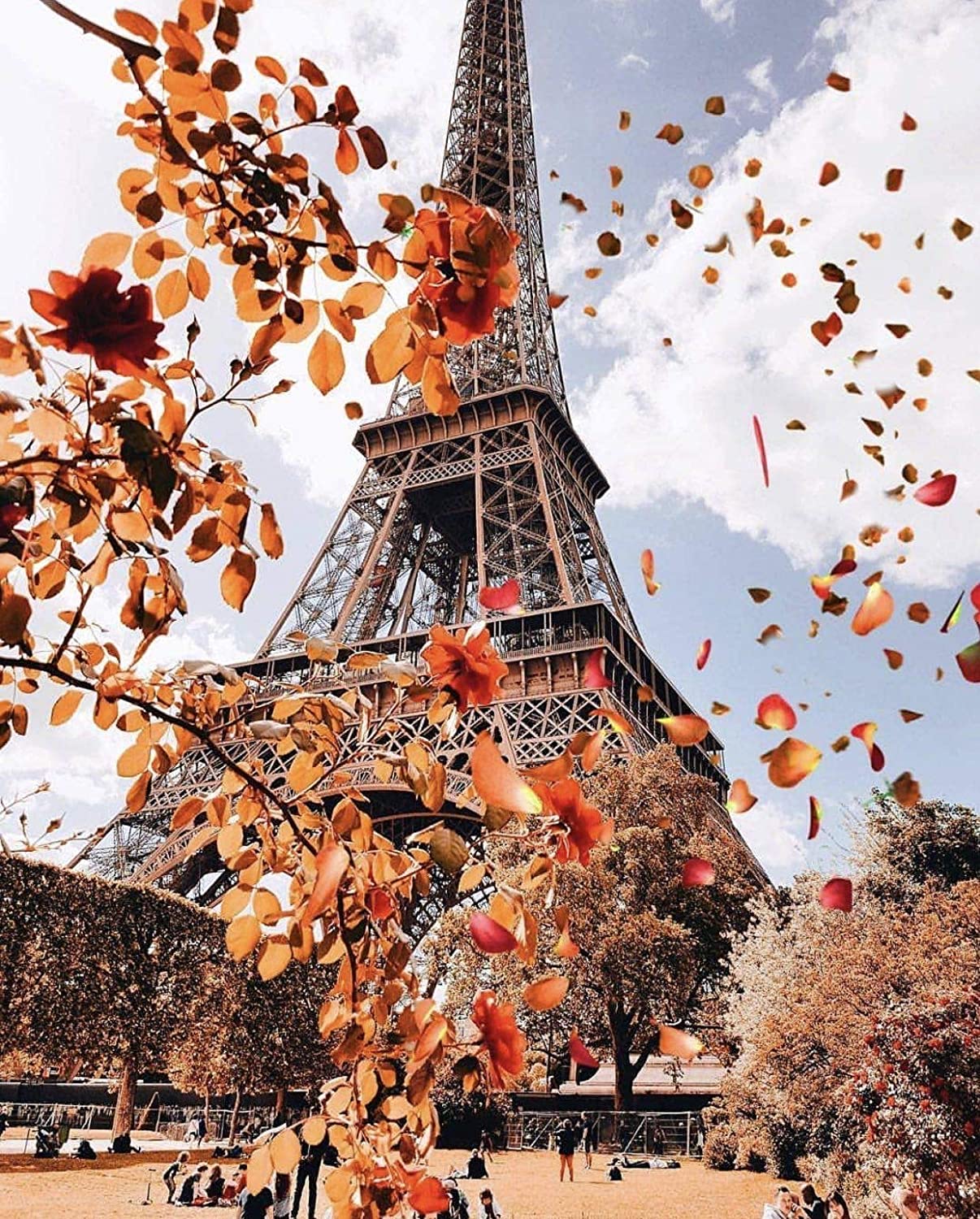 Color Silent Autumn in Paris Eiffel Tower landscape design DIY painting by numbers for decoration